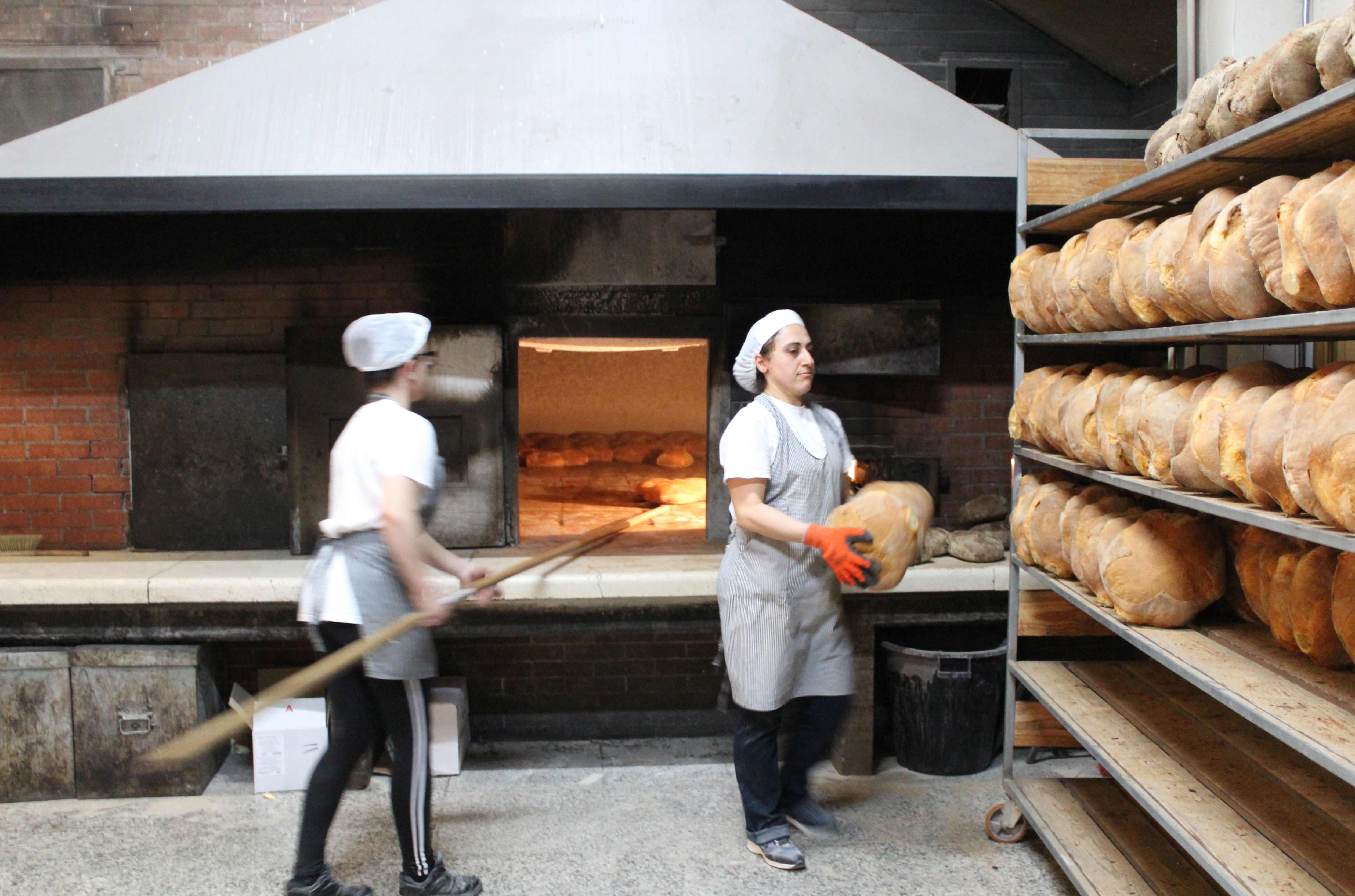 La cottura nel forno a legna del pane tipico di Laterza al Panificio Di Fonzo