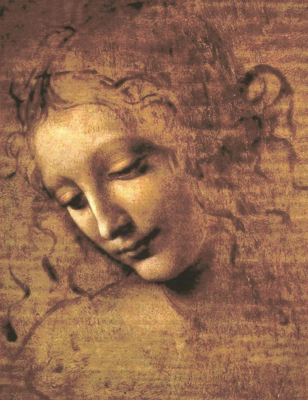 La Scapigliata di Leonardo da Vinci
