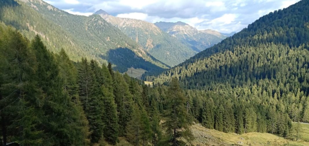L'Italia è disseminata di parchi, nella foto la zona del Lagorai, in Trentino